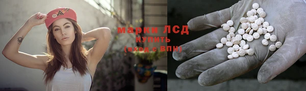 индика Алексин