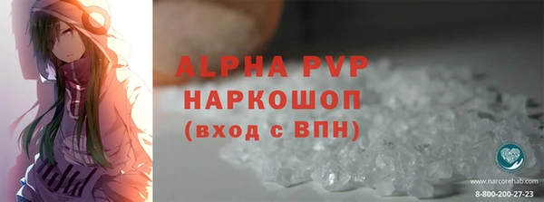 индика Алексин