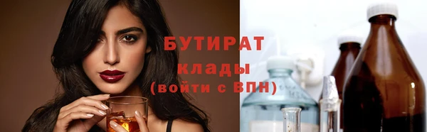 индика Алексин