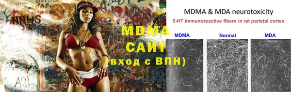 индика Алексин
