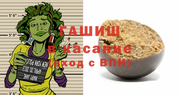 индика Алексин