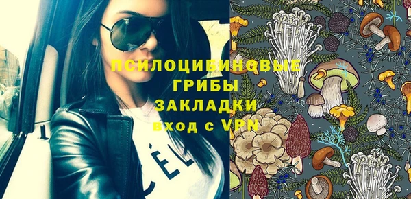бошки Алзамай
