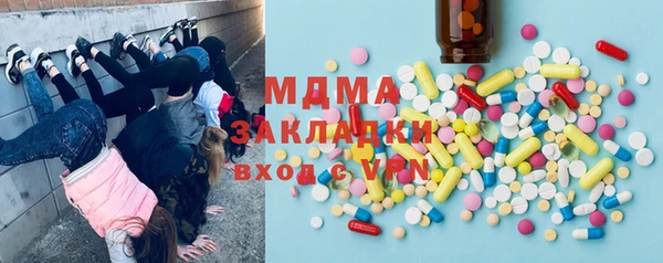 индика Алексин