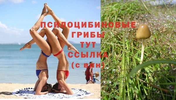 бошки Алзамай