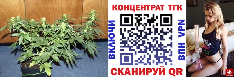 где купить наркотик  Олонец  Дистиллят ТГК концентрат 